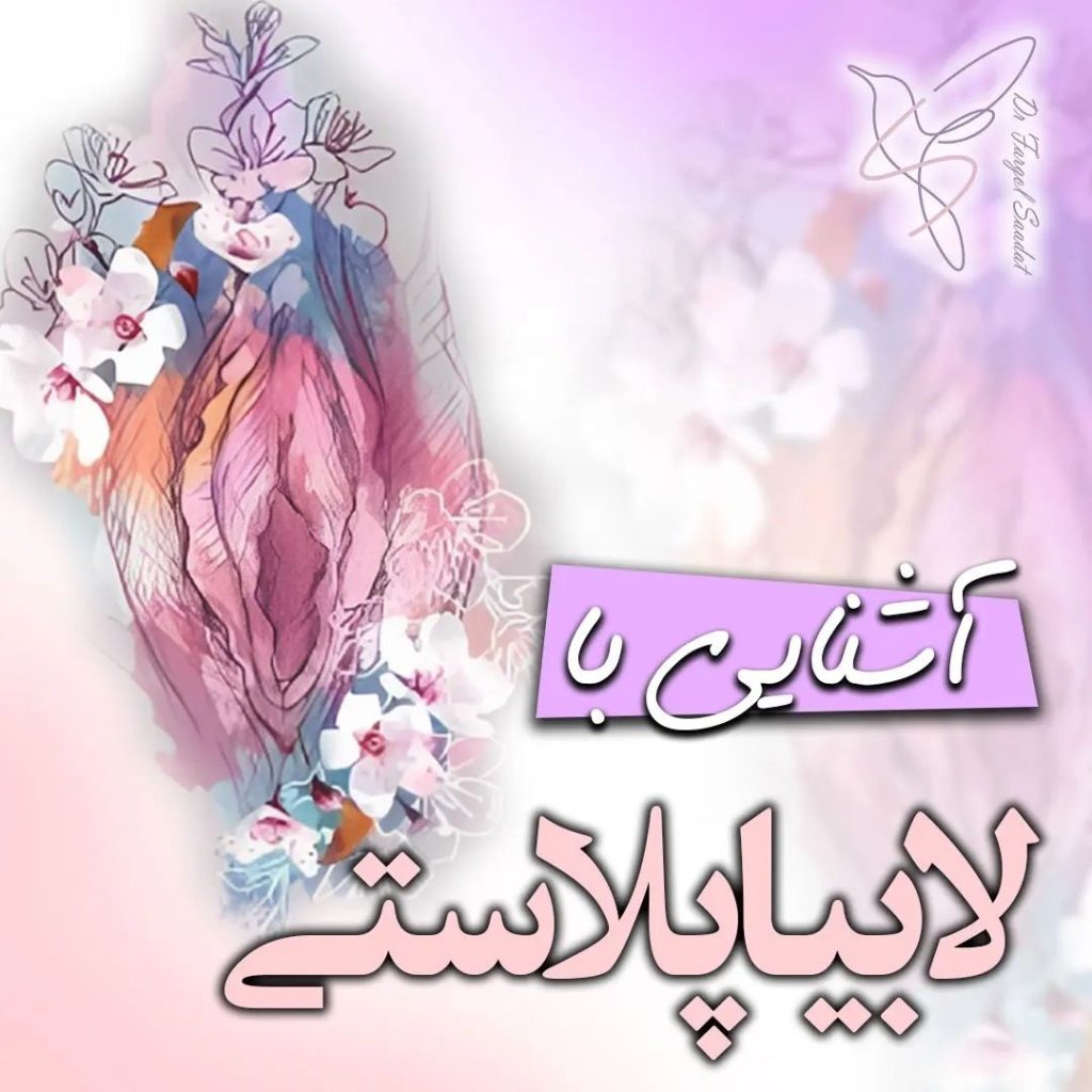 لابیاپلاستی در تهران - دکتر سعادت