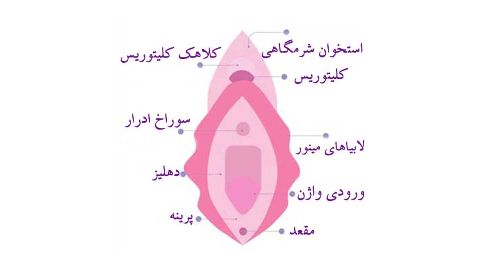 لابیاپلاستی در تهران - دکتر سعادت